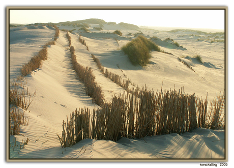 Duinen