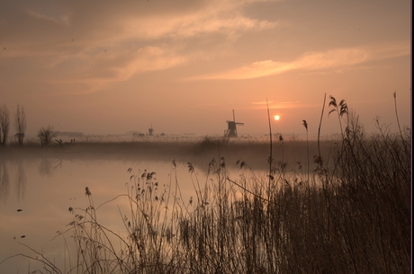 Molens in de ochtend mist