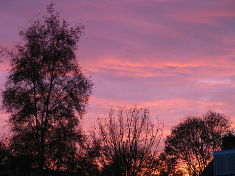 Avondrood