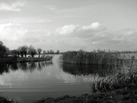 Zoetermeerse Plas