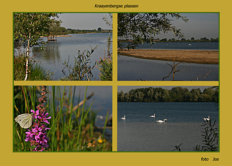 Kraayenbergse plassen