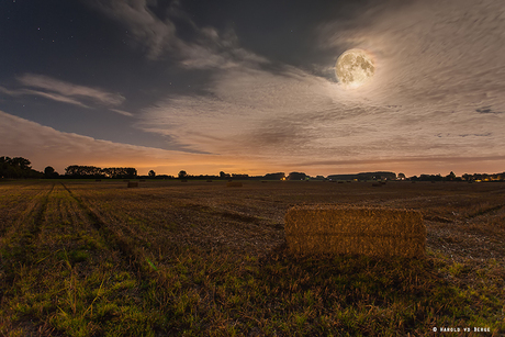 Volle maan