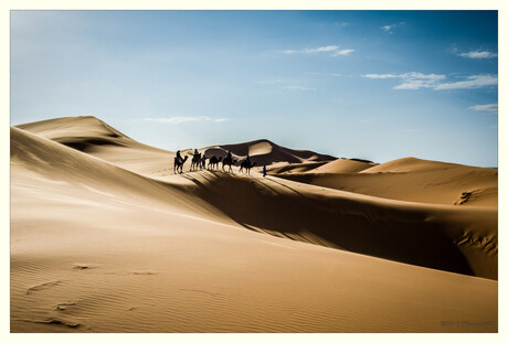 Woestijn karavaan