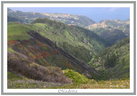 Madeira