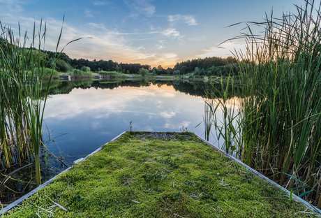 Weerspiegeling