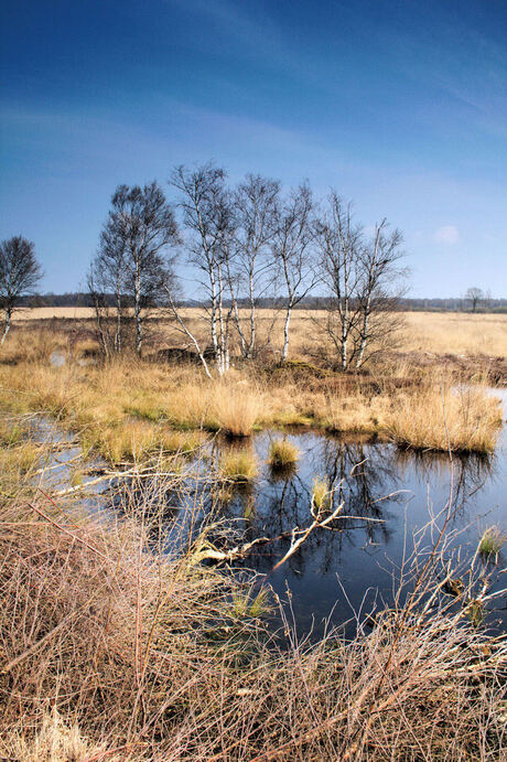 In de natuur