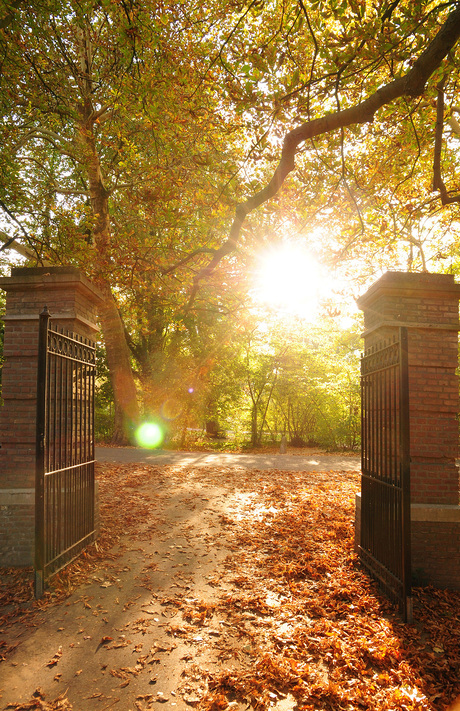 Autumn light