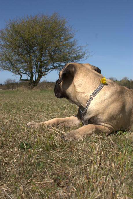 Anouk in de duinen - Wat zie ik daar?