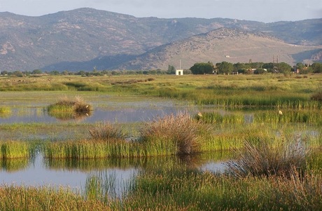Wetland op Lesvos