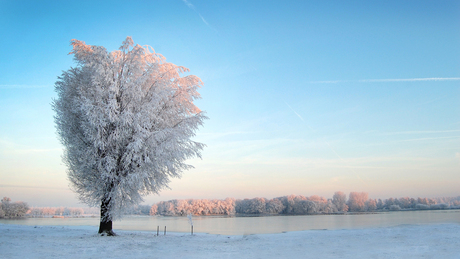 Sneeuw - 't Weegje Waddinxveen