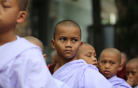 In de rij voor het ontbijt. Monnikjes in Myanmar.