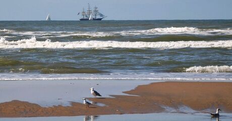 met de wind in de zeilen