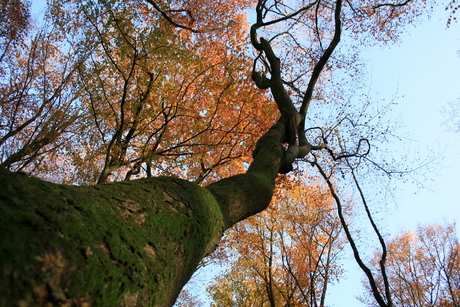 Herfst 2007