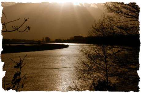 Maas bij Kessel (L)