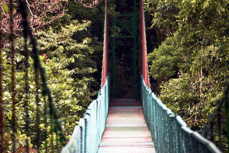 Hangbrug in Monteverde