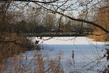 Nedereindseplas IJsselstein