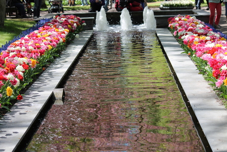 keukenhof lisse 143.JPG