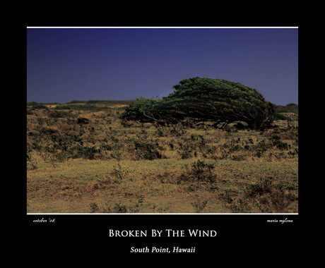 Broken by the Wind