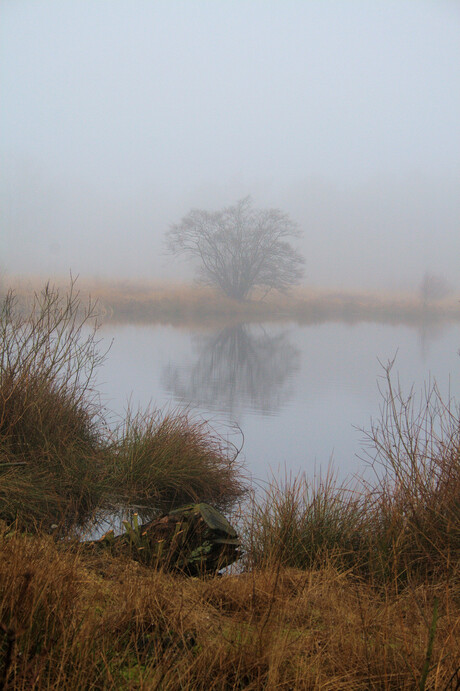 IN DE MIST (N)