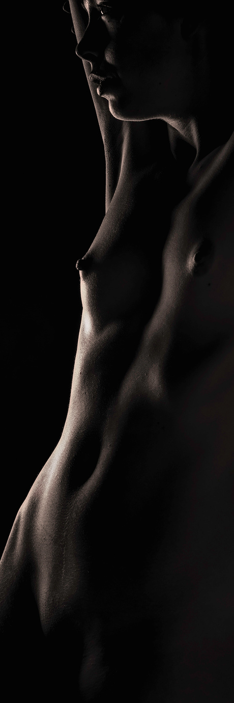 bodyscape