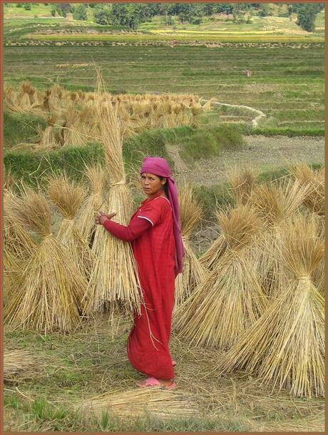 Nepal, werkende vrouw