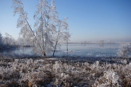 WINTER (Millingerwaard)