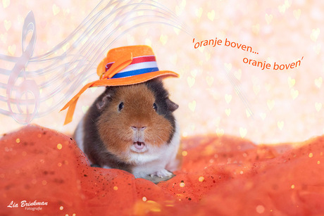 Gezellige koningsdag