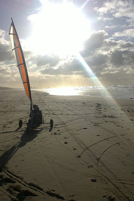 Strandzeilen