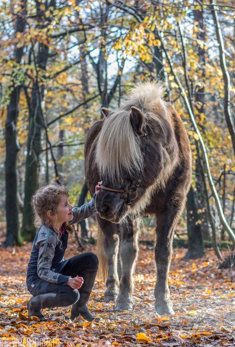 Het paard en het meisje..