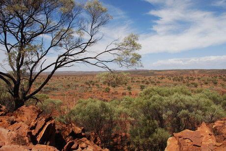 Red desert