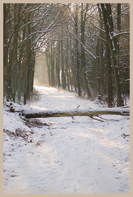 Pad in de sneeuw