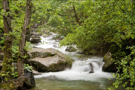 languedoc