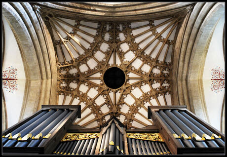 Orgel van Wells