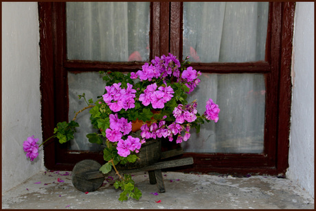 window, Les Gourniers