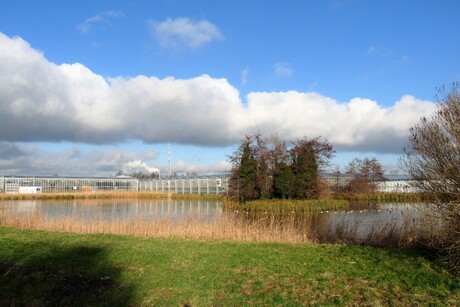 P1430114 Hoefweg de Lier waterberging 16 jan 2017