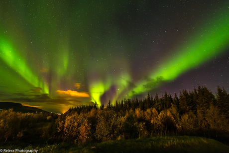 Aurora Borealis in Reykholt Ijsland 2015