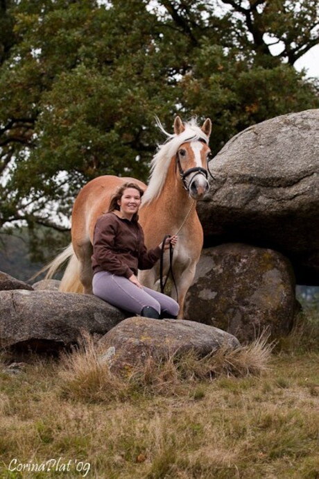 Tussen de Hunebedden