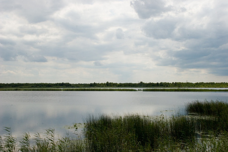 Naardermeer