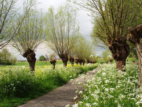 weg van de lente.jpg