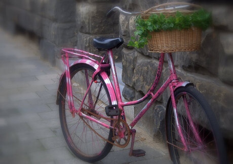 Zomaar 'n fiets in Maastricht