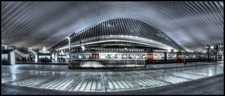 Station Guillemins Luik