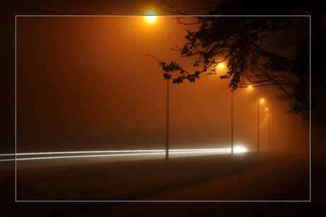 Schoonheid van de mist