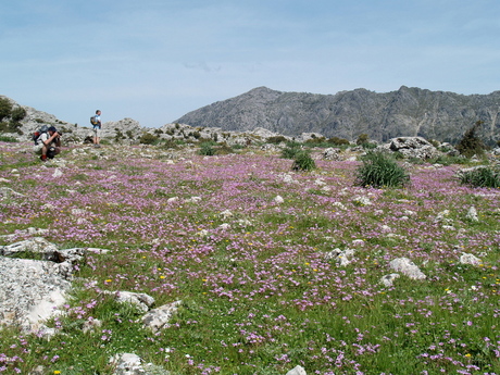Grazalema