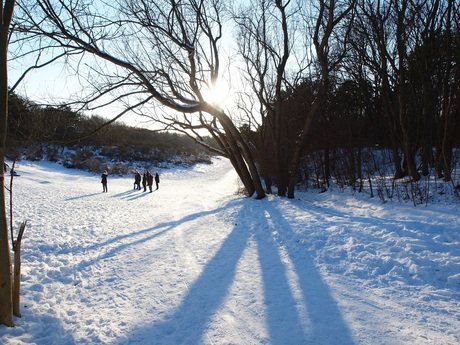 Winterlicht en Schaduw