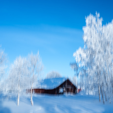 Blue in Lapland