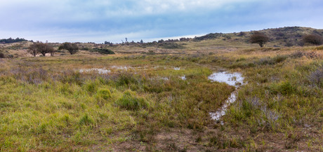 Ruig landschap