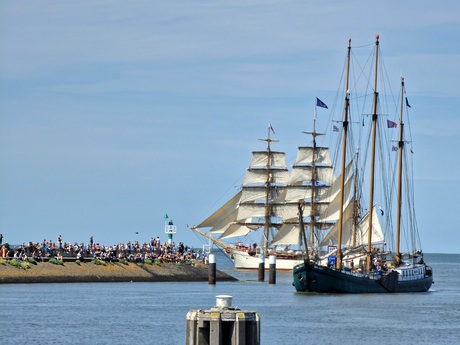 Tall Ship race Harlingen 