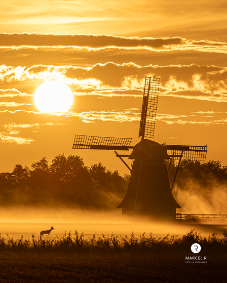 zonsopkomst met hert bij molen Hantum