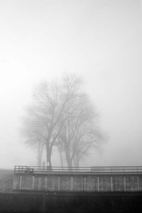 Een mistige ochtend