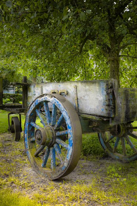 onder de appelboom 